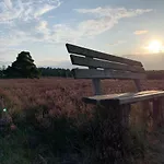 Loh - Wald.natur.ruhe. Undeloh