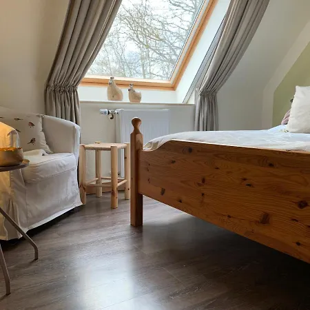 Loh - Wald.natur.ruhe.