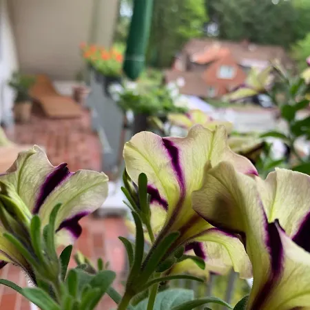 Apartment Loh - Wald.natur.ruhe.
