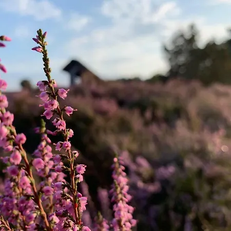 Loh - Wald.natur.ruhe. Апартаменты