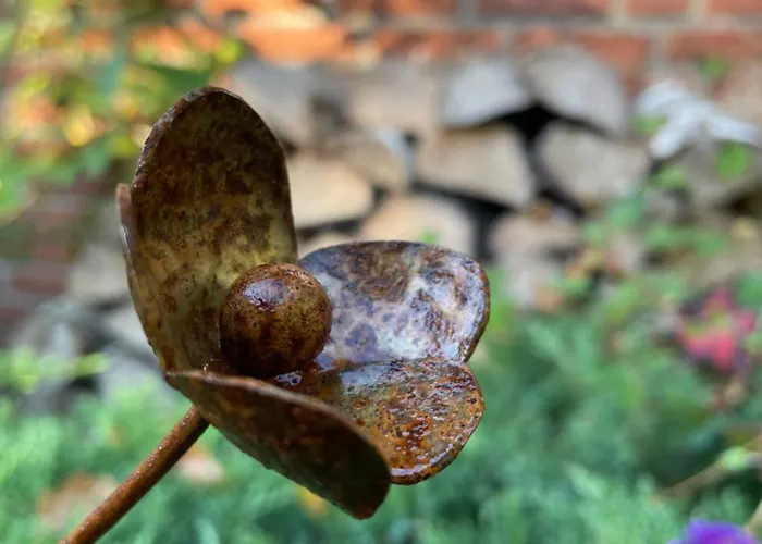 Loh - Wald.natur.ruhe. * Undeloh