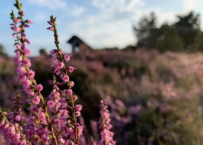 Loh - Wald.natur.ruhe. Daire