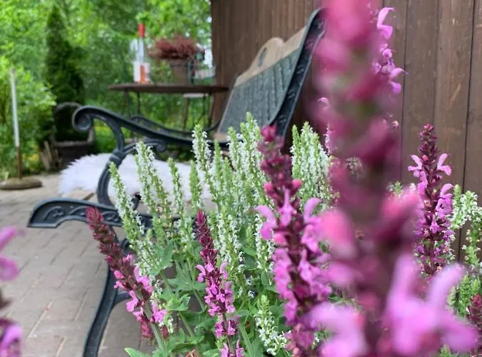 Loh - Wald.natur.ruhe. Undeloh